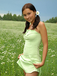 AdiPics presents: Marvelous nude babe with two pretty ponytails has a walk in the field of chamomiles and fondles her tender skin with them.